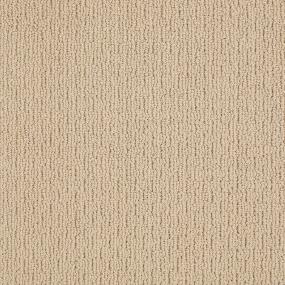 Ts237 - Chamois Swatch