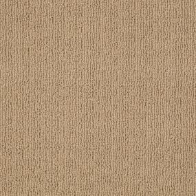 Ts237 - Tiger Eye Swatch