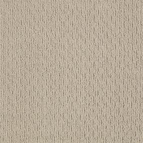 Ts237 - Oyster Swatch