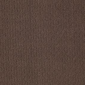 Ts237 - Kola Nut Swatch