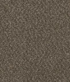 Cce 125 - Ironside Swatch