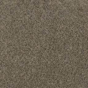 Trendsetter I - Smokey Taupe Swatch