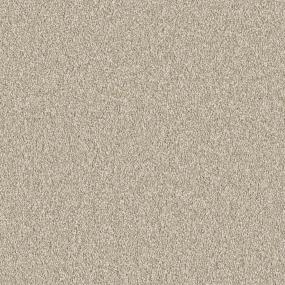 Nutria Zoomed Swatch