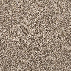 Cordial Memory - Ivory Mist Swatch