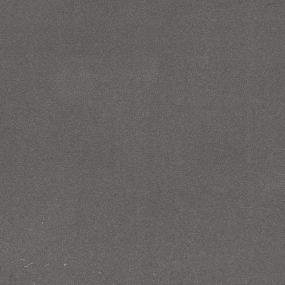Spacious Solid - Noble Swatch