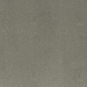 Modern Zen - Pine Knot Swatch