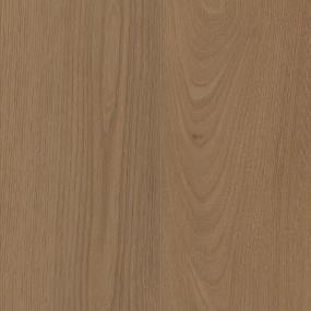 San Marino Elm Zoomed Swatch