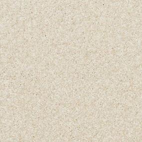 Delicate Shades - White Rose Swatch