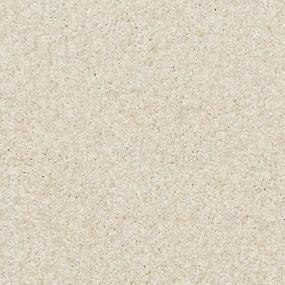 White Rose Zoomed Swatch