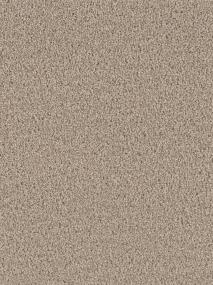 Exceptional II - Hazelnut Cream Swatch