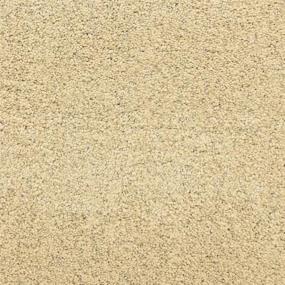 Pacific Grove - Dunes Swatch