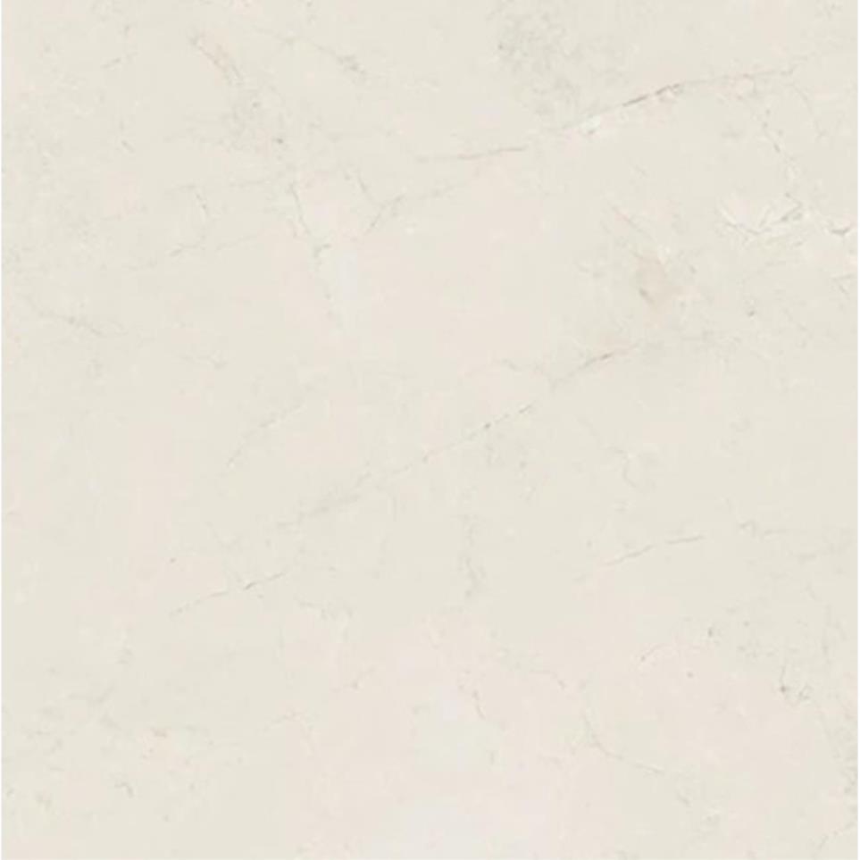 Olimpia Square 33X33 PL by Daltile - Olimpia Polished