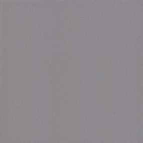 Suede Gray Glossy Swatch Thumbnail