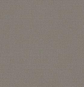 Aerial Arts - Dark Slate Swatch