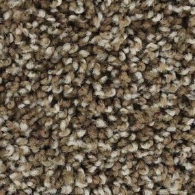 Mesquite Chip Swatch Thumbnail