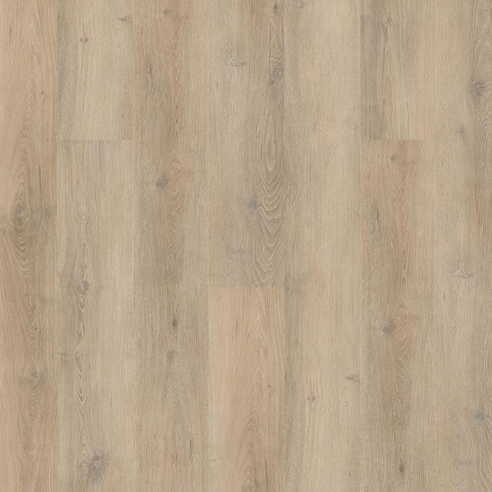 New Standard Plus