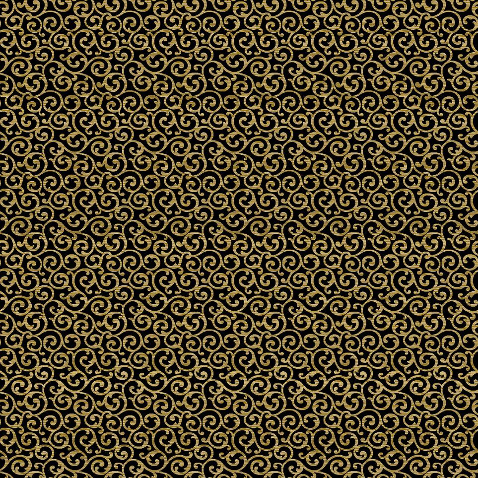 Nautilus