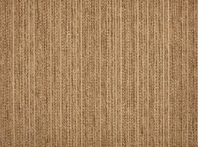 Roatan - Burnt Umber Swatch