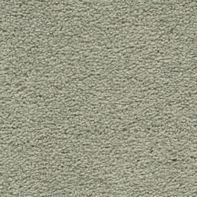 Sage Brush Zoomed Swatch