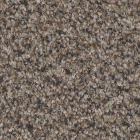 Montecito - Stately Swatch
