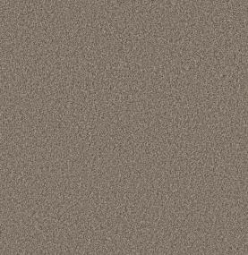 Artistic Fusion II - Sea Shell Swatch