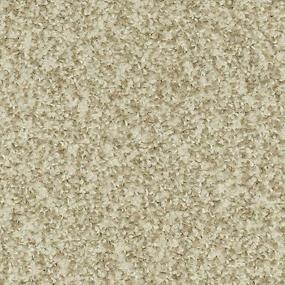Nouveau Zoomed Swatch
