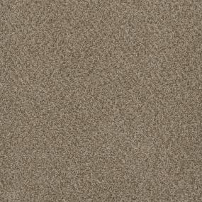 Sp251 - Sandlot Swatch