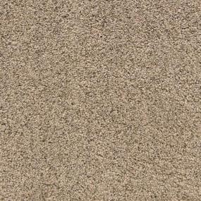 Pacific Grove - Driftwood Swatch