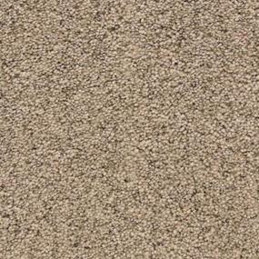 Driftwood Zoomed Swatch