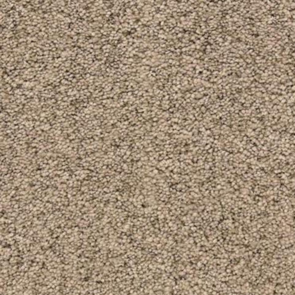 Driftwood Zoomed Swatch