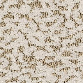 Solara - Aged Ivory Swatch