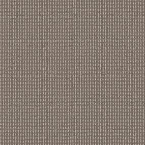 Cozy Alpine Retreat - Chocolate Chip Swatch