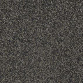 Pasttime Zoomed Swatch