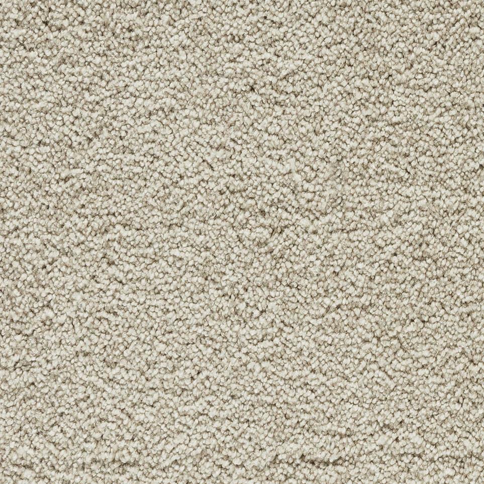 Whimbrel Tonal