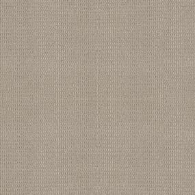Buckskin Swatch