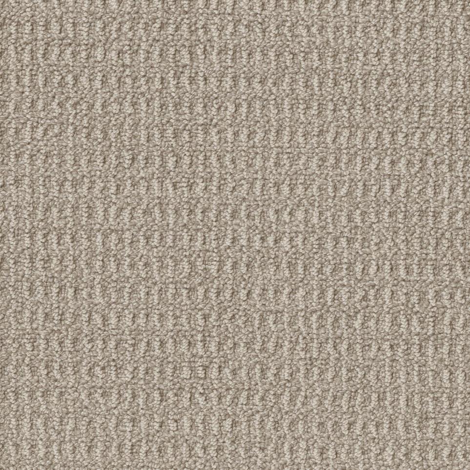 Buckskin Zoomed Swatch
