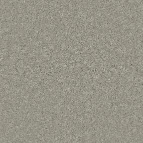 Taupe Tone Zoomed Swatch