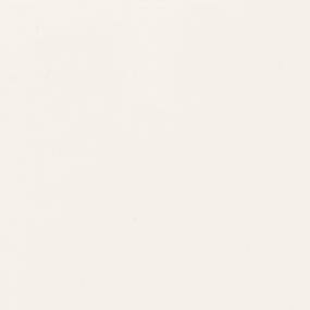 White Glossy Zoomed Swatch