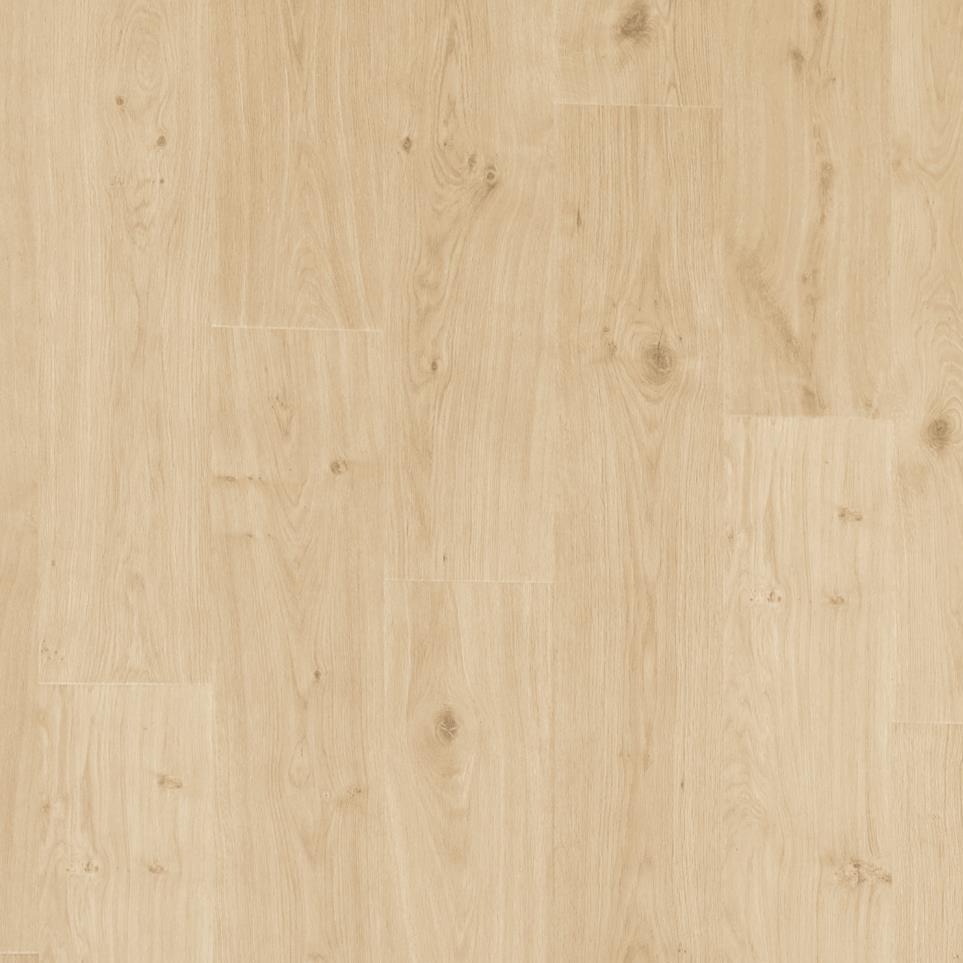 Preservation Oak Zoomed Swatch