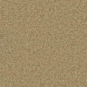 Golden Fox Zoomed Swatch