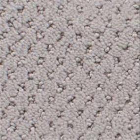 Power Point - Alaskan Swatch
