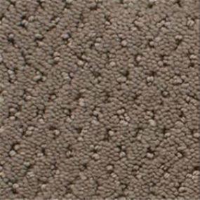 Power Point - Almond Mist Swatch