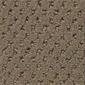 Power Point - Bravado Swatch
