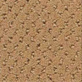 Power Point - Buckeye Swatch