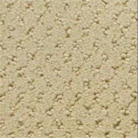 Power Point - Cairo Gold Swatch