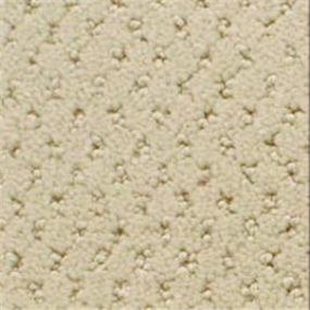Power Point - Decorative Swatch