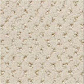 Power Point - Dry Chamois Swatch