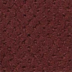 Power Point - Fine Wine Swatch