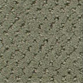 Power Point - Fir Swatch