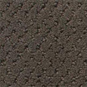 Power Point - Ground Coffee Swatch